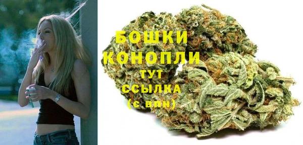 трава Абаза