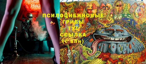 трава Абаза