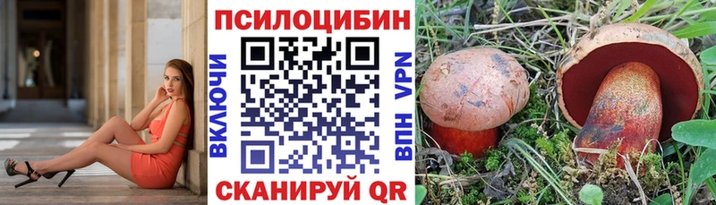 наркотики  Инза  Галлюциногенные грибы Magic Shrooms 